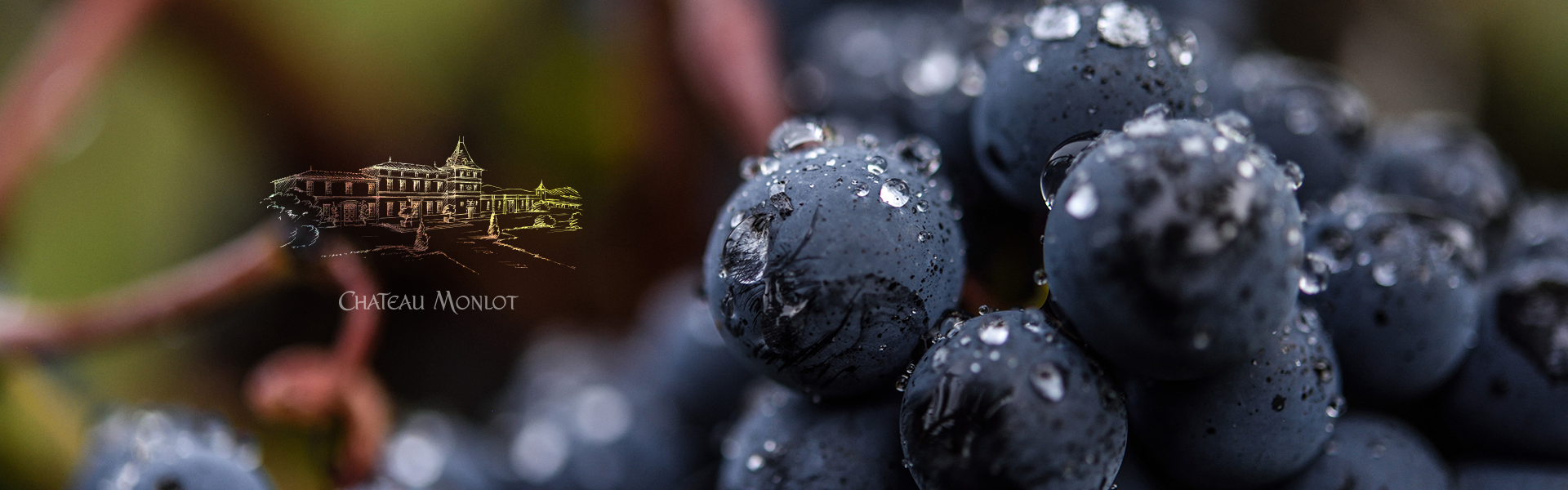 梦陇酒庄旗舰店(diàn)